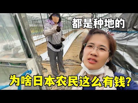 克罗地亚后,卫埃尔利奇,加盟博洛尼,博鱼体育官方网站,体育博彩,在线博彩,体育赛事,足球博彩,篮球博彩,真人娱乐,电子竞技,彩票游戏