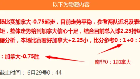 阿森纳引援大动作维尼修斯加盟助球队实力飞跃，打造完美阵容